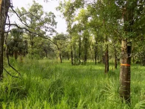 5001 Whippoorwill Drive, Holiday, FL 34690 - #3