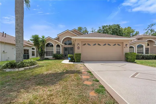 9224 Halberg Drive, HUDSON, FL 34669