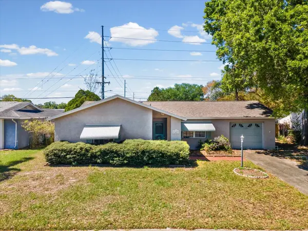 11423 Wheeling Drive, TAMPA, FL 33625