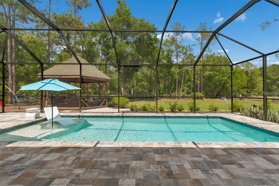 5438 Drexel Road, Land O Lakes, FL 34638 - #3