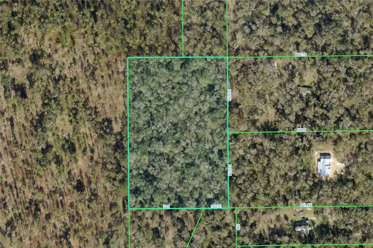 Timber Lane, Brooksville, FL 34601 - #1