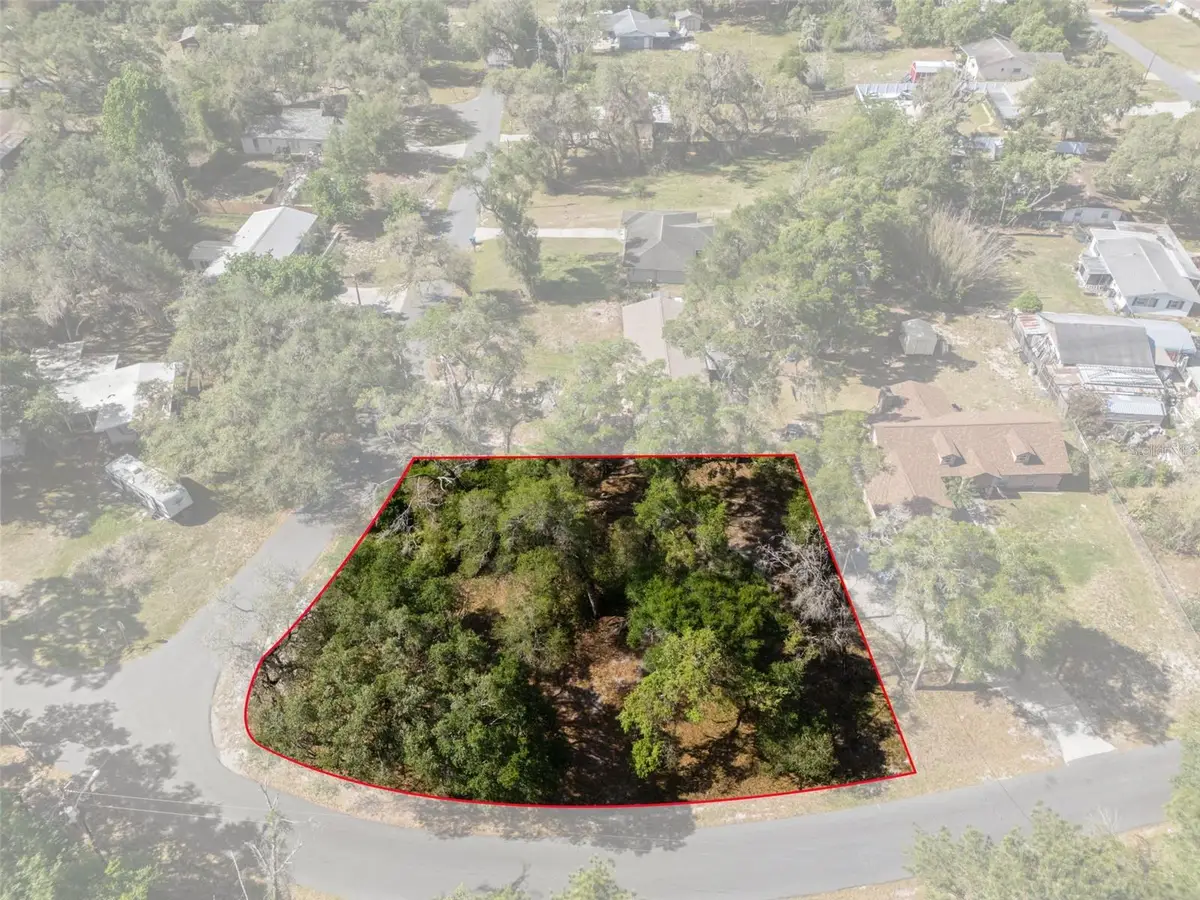 5043 Cardinal Drive, Dade City, FL 33523 - #1