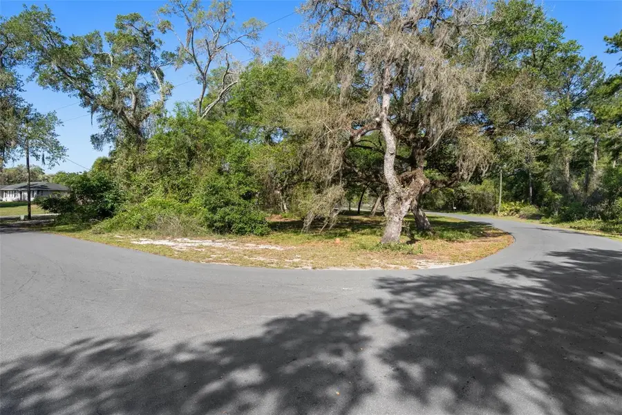 5043 Cardinal Drive, Dade City, FL 33523 - #3