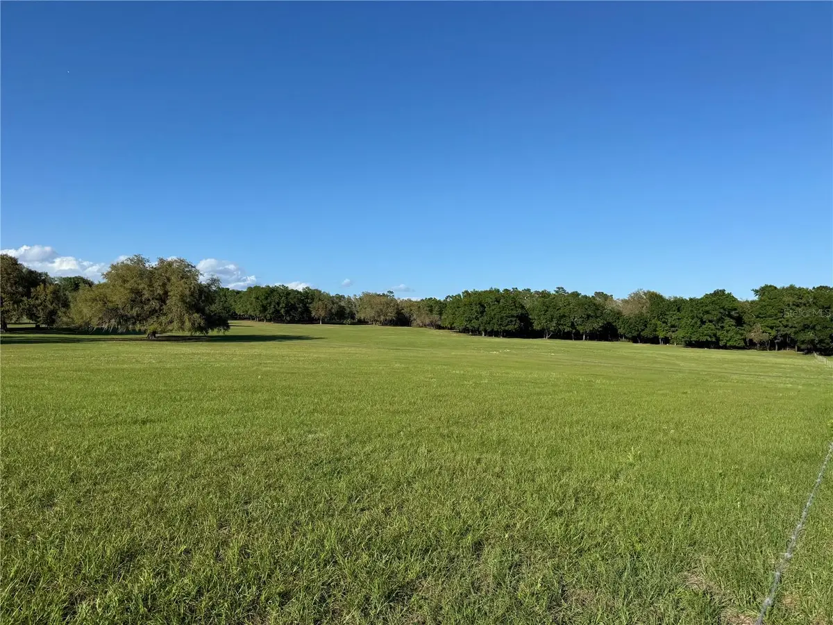 4401 Griffin View Drive, Lady Lake, FL 32159 - #1