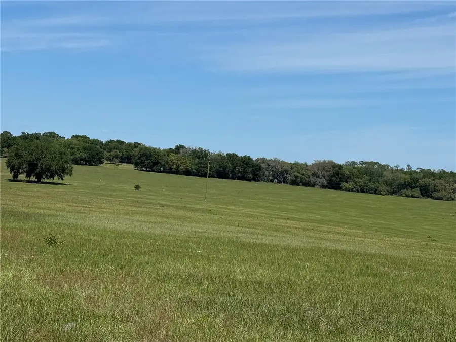 4401 Griffin View Drive, Lady Lake, FL 32159 - #2