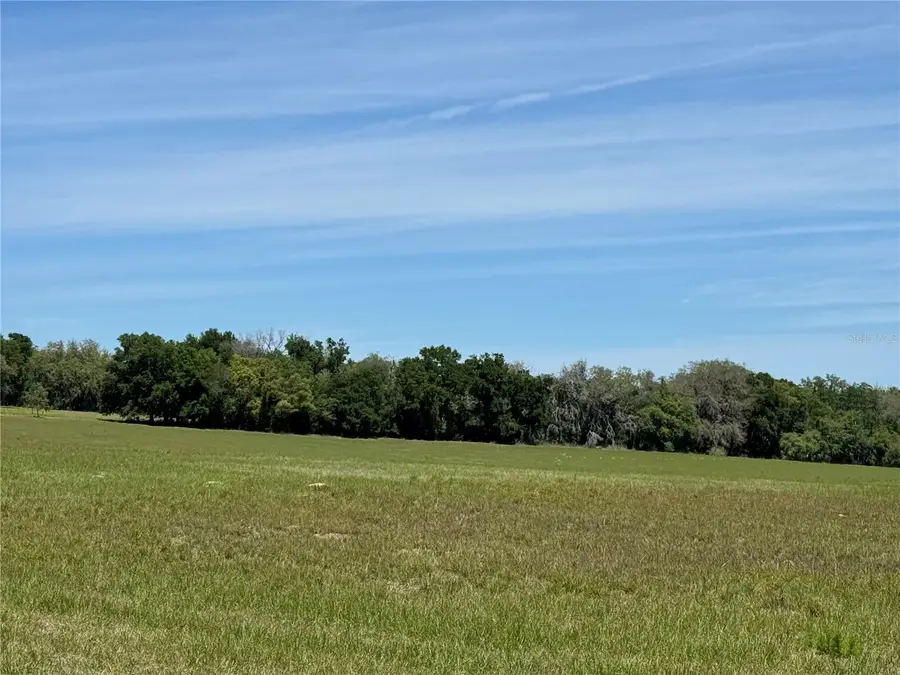 4401 Griffin View Drive, Lady Lake, FL 32159 - #3