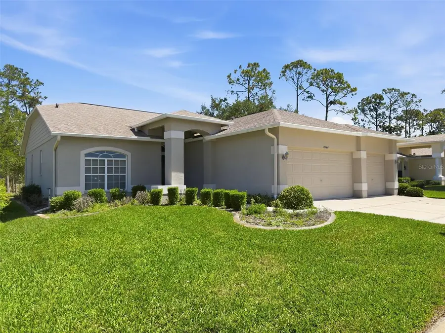 18744 Bellevista Court, Hudson, FL 34667 - #3