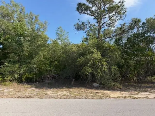 4205 Parkhurst Lane, Spring Hill, FL 34608 - #1