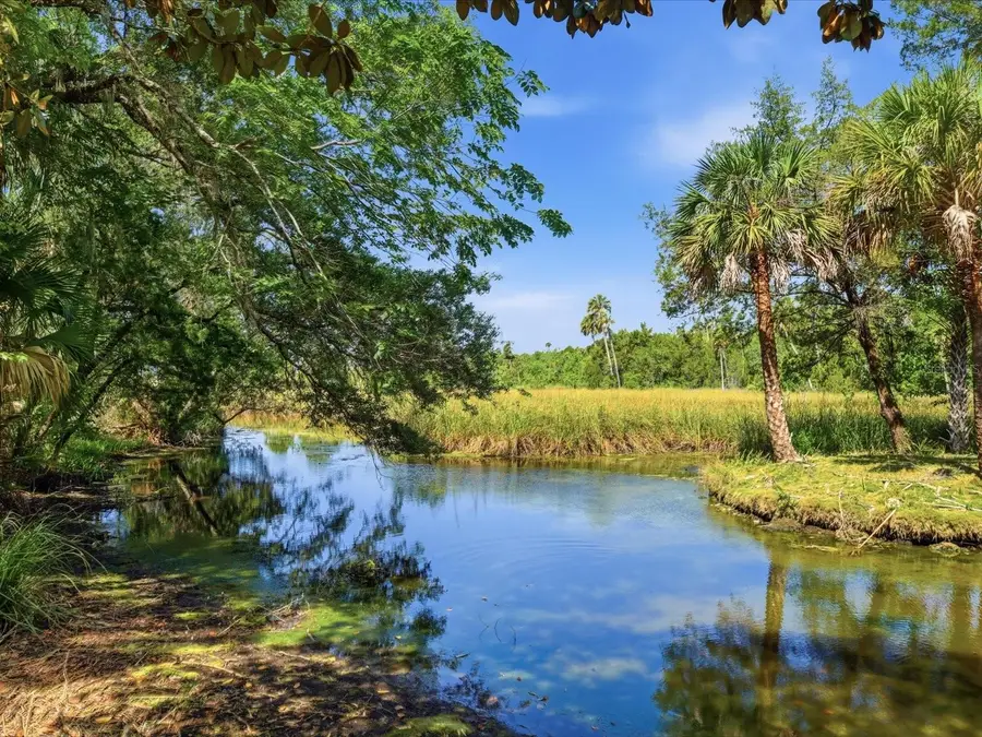 8979 W White Dogwood Drive, Homosassa, FL 34448 - #2