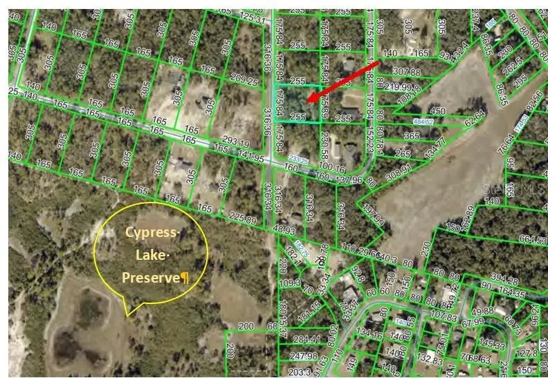 000 Norman Street, Webster, FL 33597 - #1