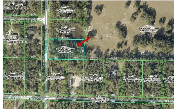 00 Cashew Drive, WEBSTER, FL 33597