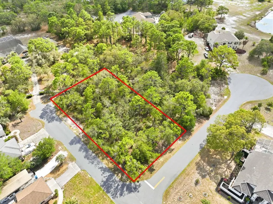 11026 Gig Avenue, Weeki Wachee, FL 34613 - #2