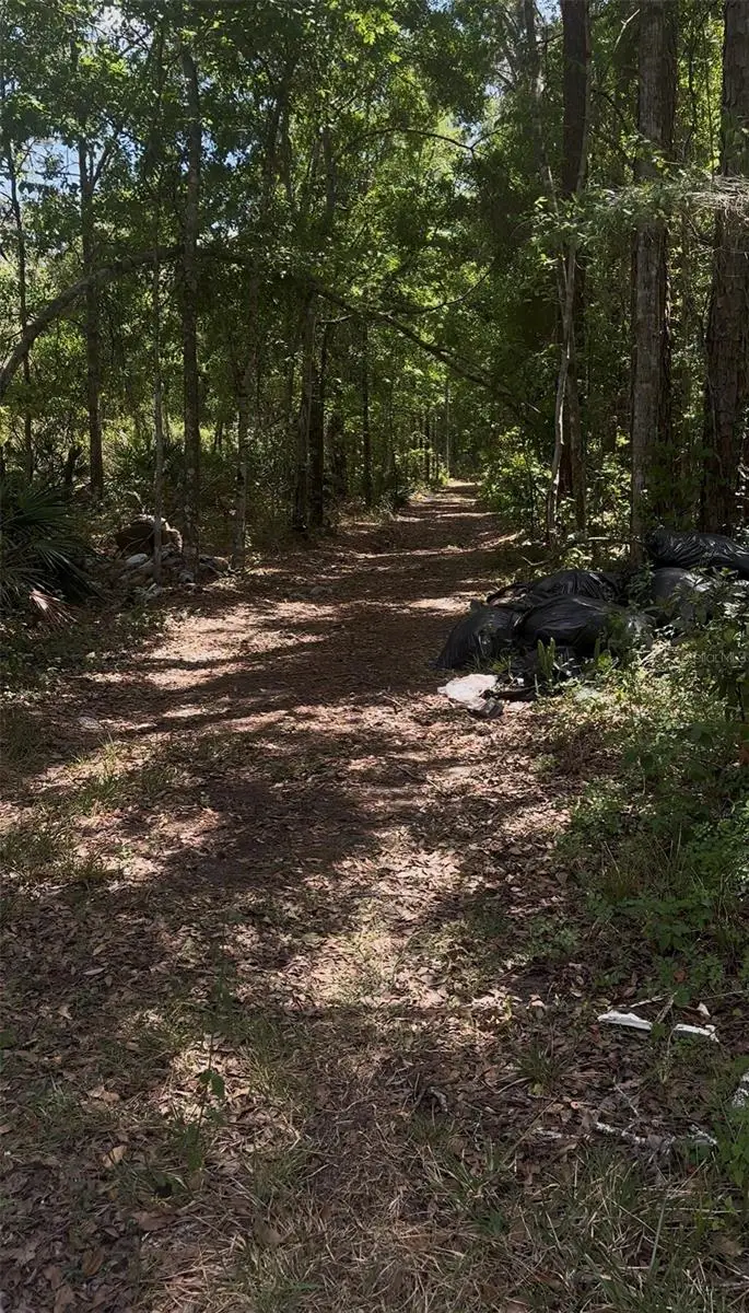 Kusan Street, New Port Richey, FL 34654 - #3