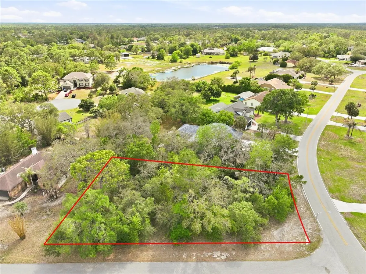 10592 Woodland Waters Boulevard, Weeki Wachee, FL 34613 - #1