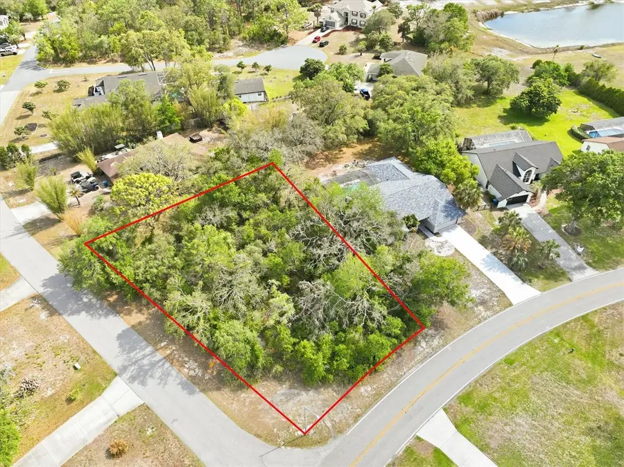 10592 Woodland Waters Boulevard, Weeki Wachee, FL 34613 - #2