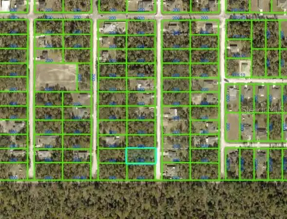13415 English Parrot Road, Brooksville, FL 34614 - #3