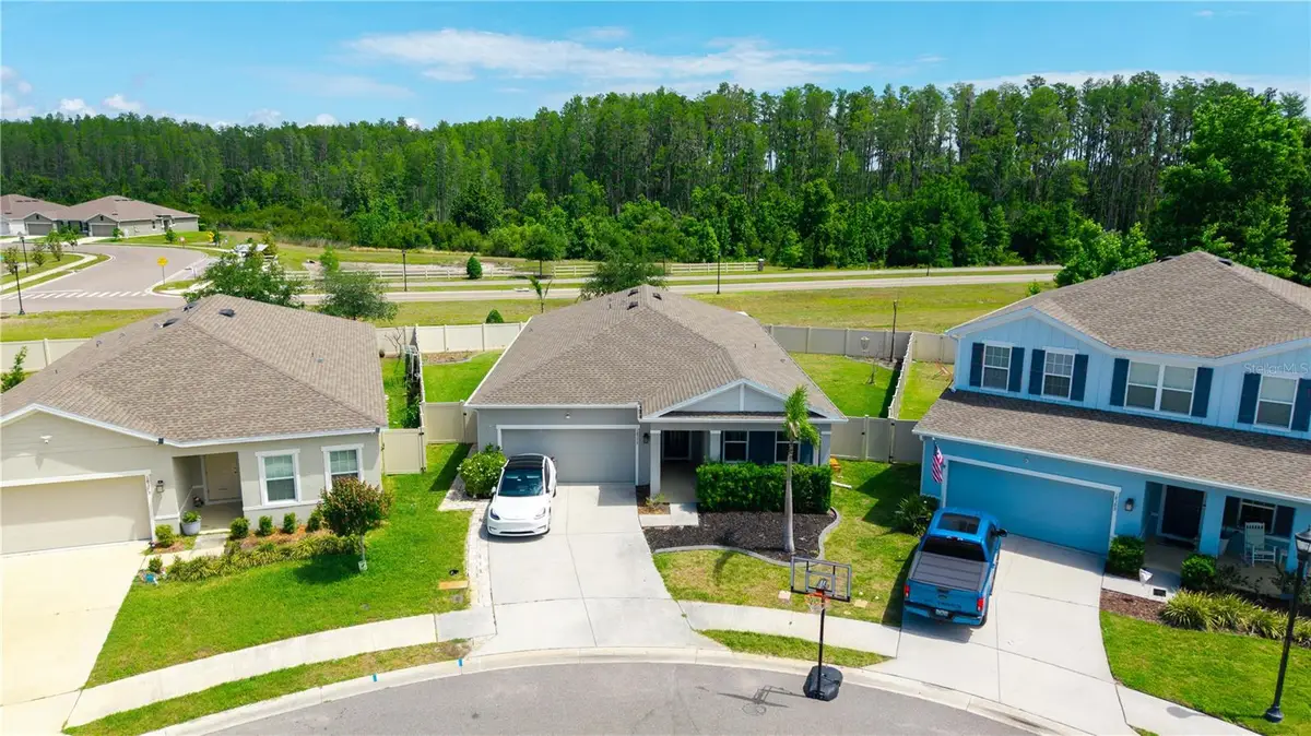 18379 Falling Pine Needle Lane, Land O Lakes, FL 34638 - #1