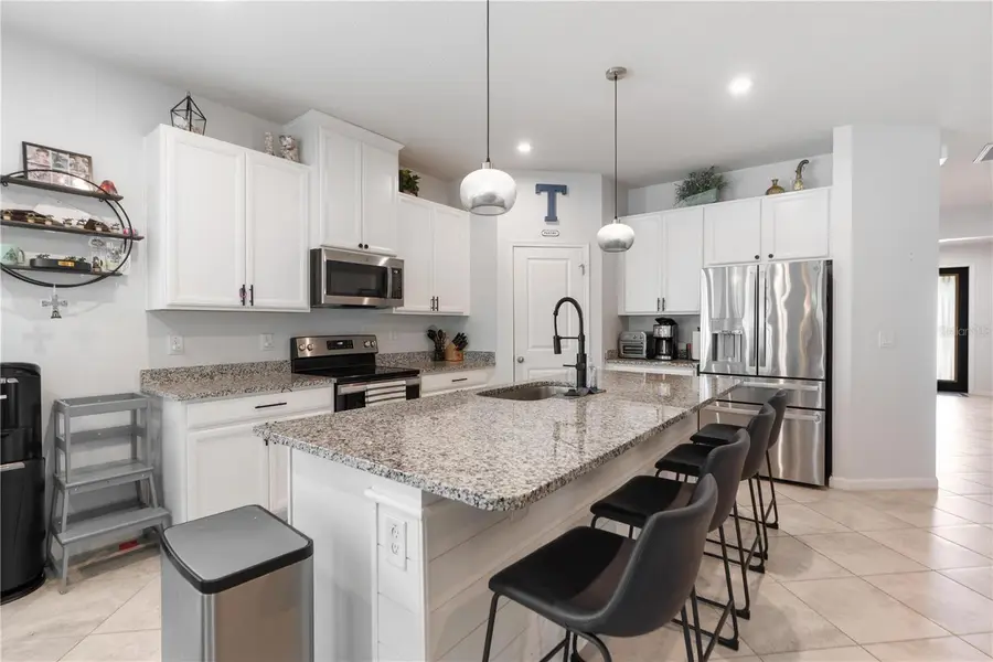 18379 Falling Pine Needle Lane, Land O Lakes, FL 34638 - #2