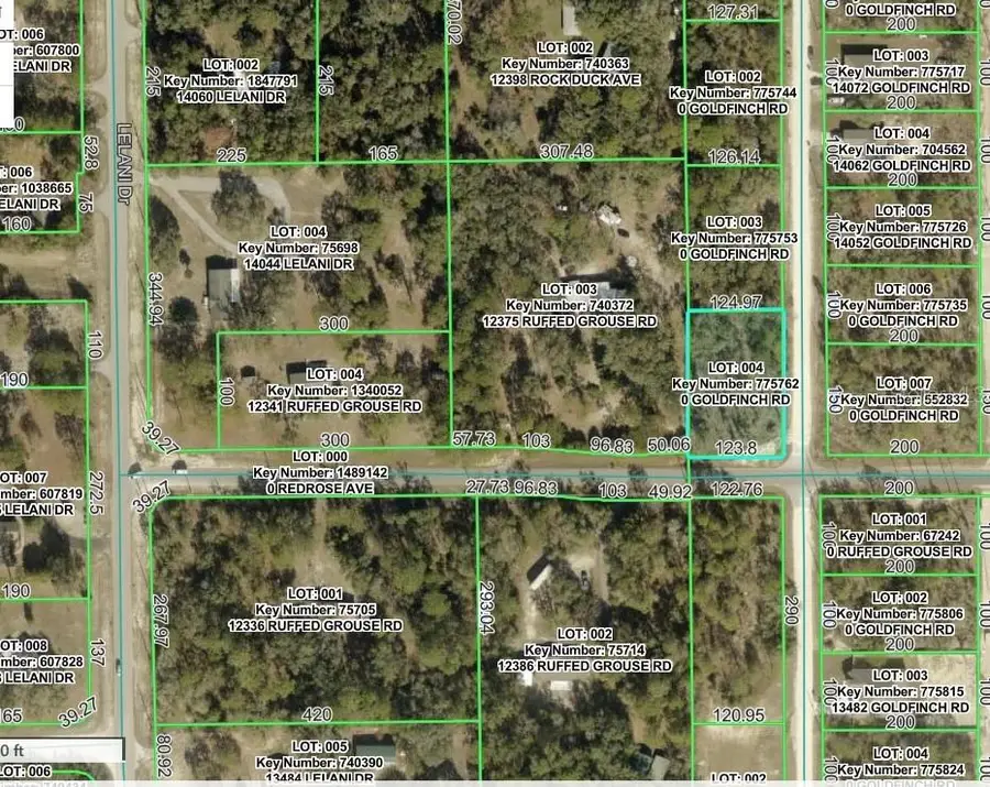 Goldfinch Road, Weeki Wachee, FL 34614 - #3