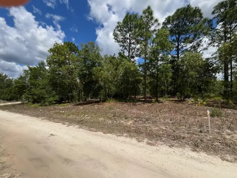 3726 W Spoon Wood Court, Dunnellon, FL 34433 - #2