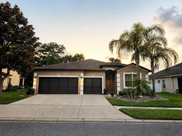 12641 Drakefield Drive, SPRING HILL, FL 34610