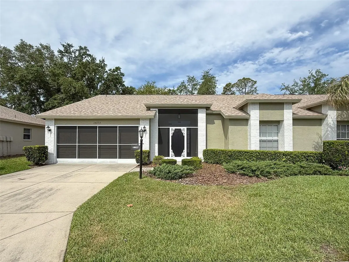 18037 Baywood Forest Drive, Hudson, FL 34667 - #1