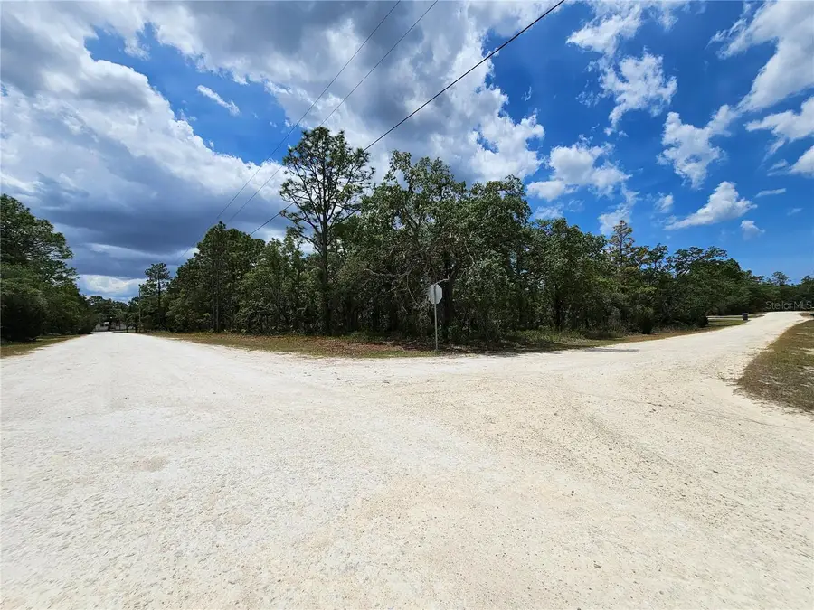 0 Song Sparrow Avenue, Weeki Wachee, FL 34614 - #2
