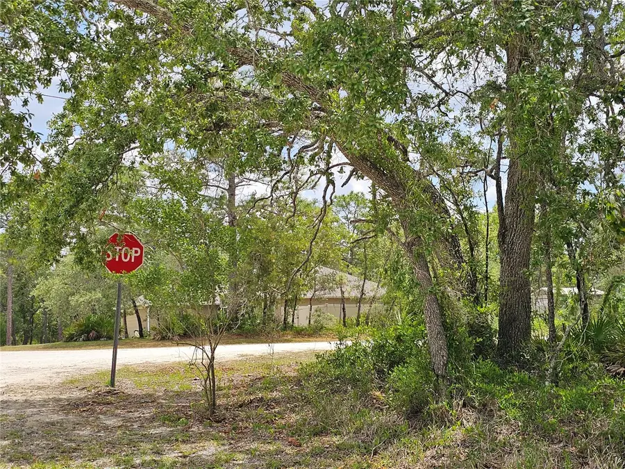0 Song Sparrow Avenue, Weeki Wachee, FL 34614 - #3