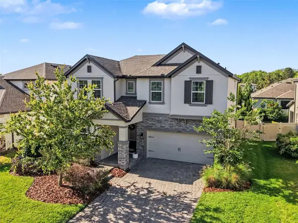 11826 Gavin Lane, ODESSA, FL 33556
