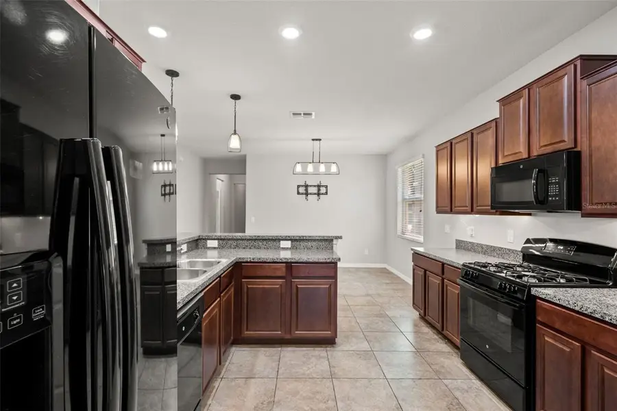 8751 Shady Pavillion Court, Land O Lakes, FL 34637 - #3
