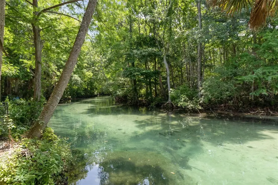 6762 E Richard Drive, Weeki Wachee, FL 34607 - #2