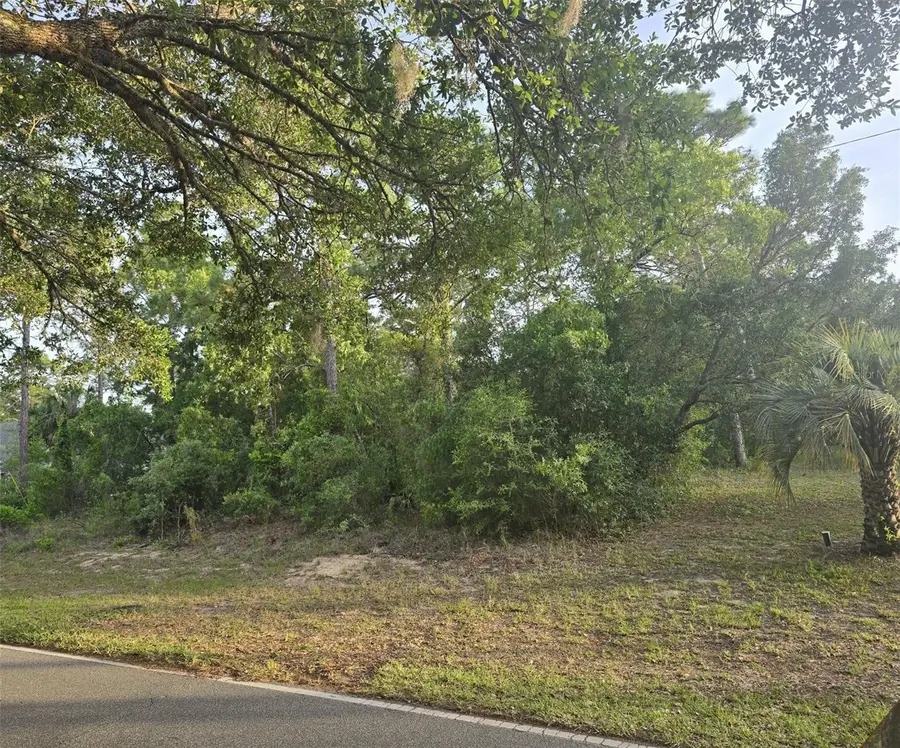 116 S Oak Village Boulevard, Homosassa, FL 34446 - #3