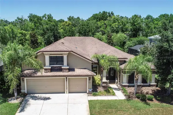 15141 Azra Drive, ODESSA, FL 33556