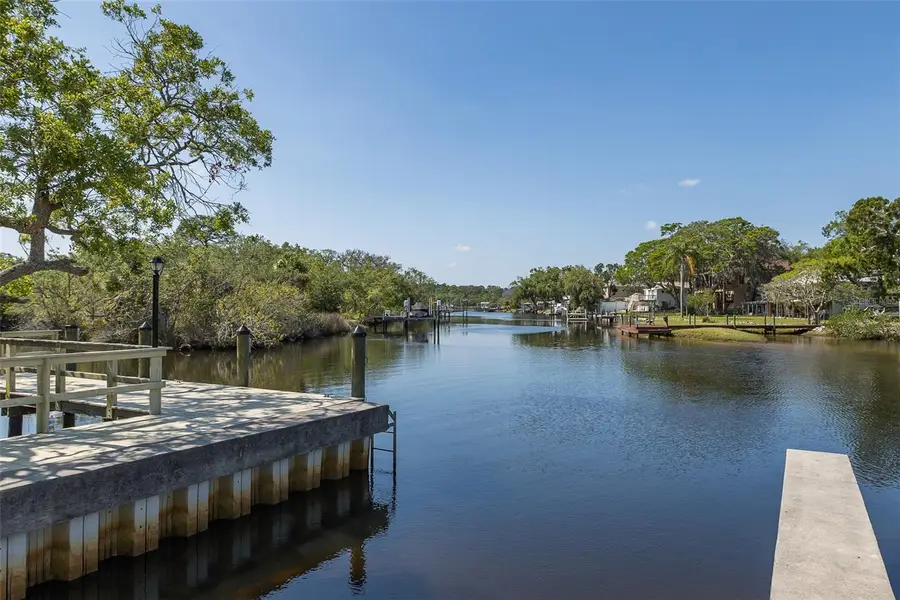 1739 Mountain Ash Way, New Port Richey, FL 34655 - #2