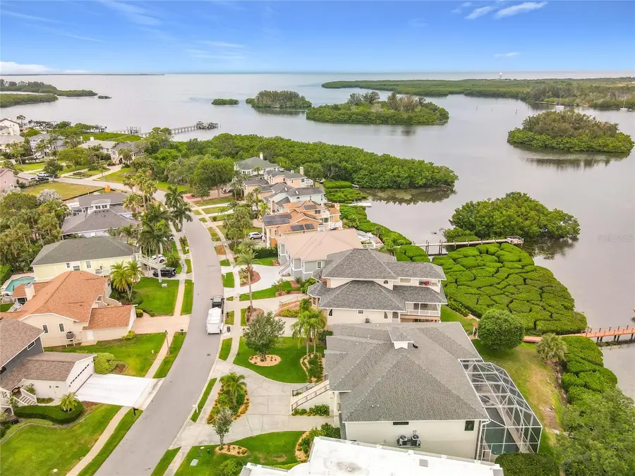 2021 North Pointe Alexis Drive, Tarpon Springs, FL 34689 - #2