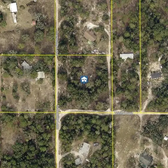 Trinity Road, BROOKSVILLE, FL 34614