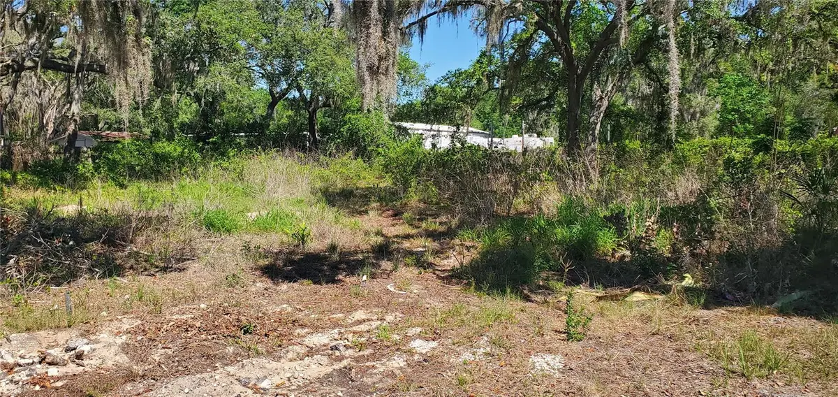 11939 Bemont Avenue, New Port Richey, FL 34654 - #1