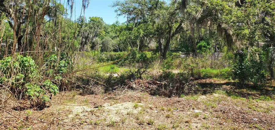 11939 Bemont Avenue, New Port Richey, FL 34654 - #2