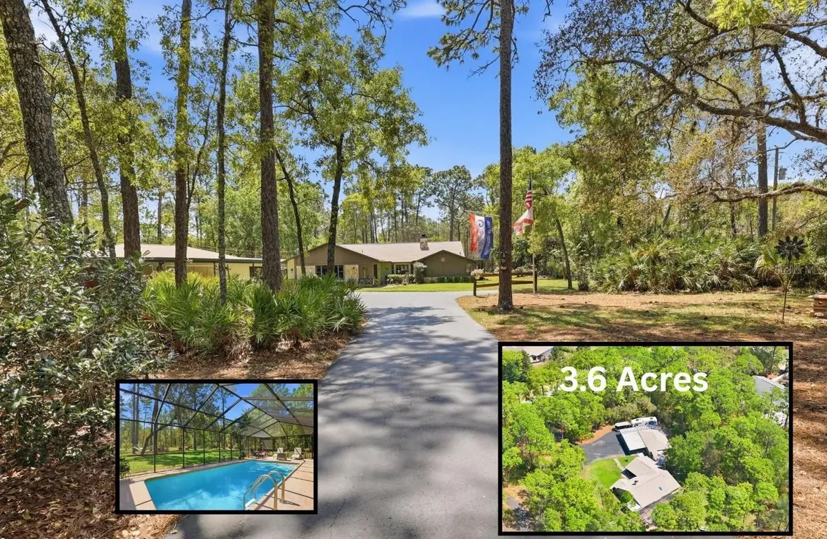 9032 Birmingham Avenue, Weeki Wachee, FL 34613 - #1