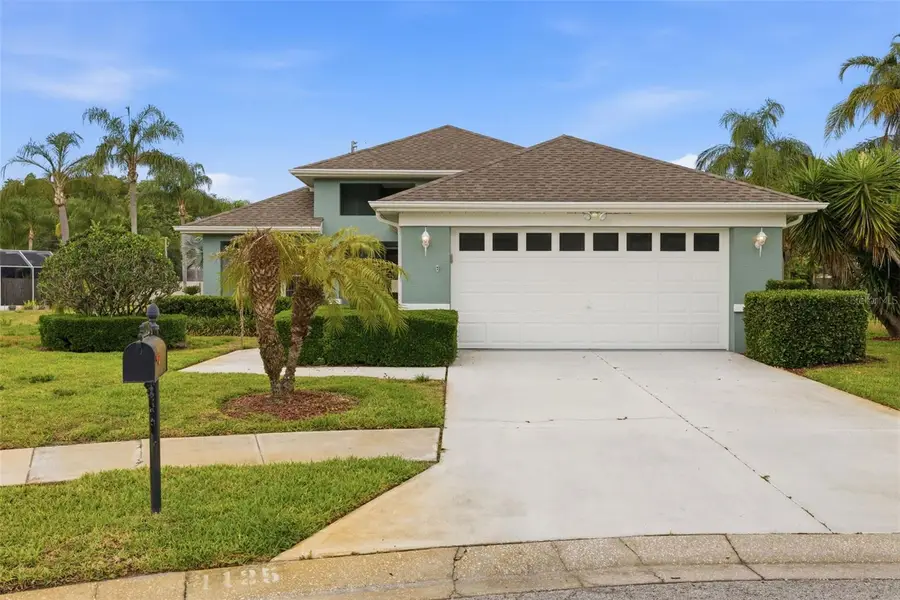1125 Daleside Lane, New Port Richey, FL 34655 - #2