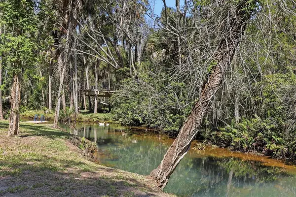 6240 Colony Circle, WEEKI WACHEE, FL 34607