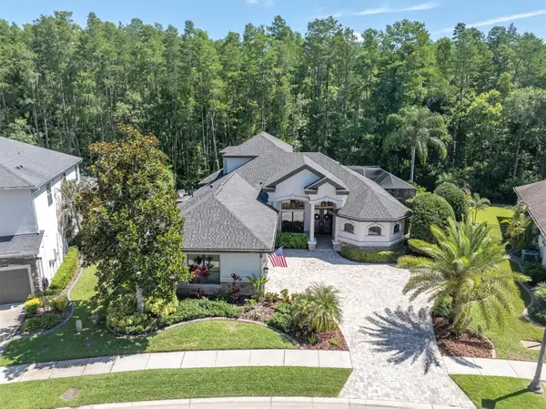 15223 Wind Whisper Drive, ODESSA, FL 33556