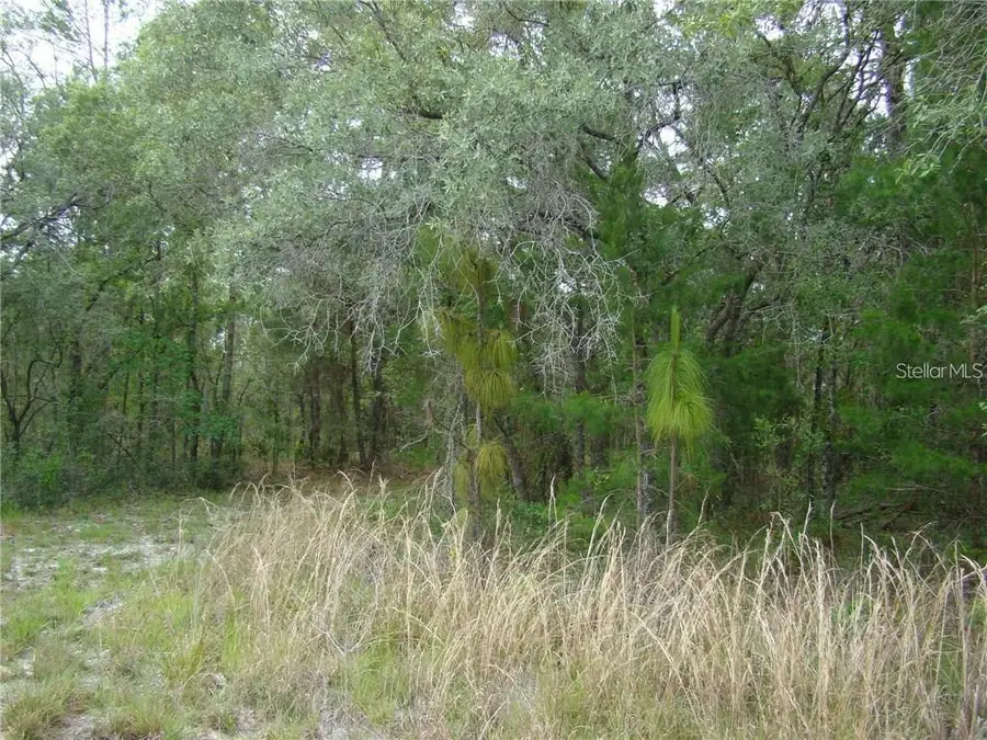 0 Goliath Court, Weeki Wachee, FL 34614 - #3