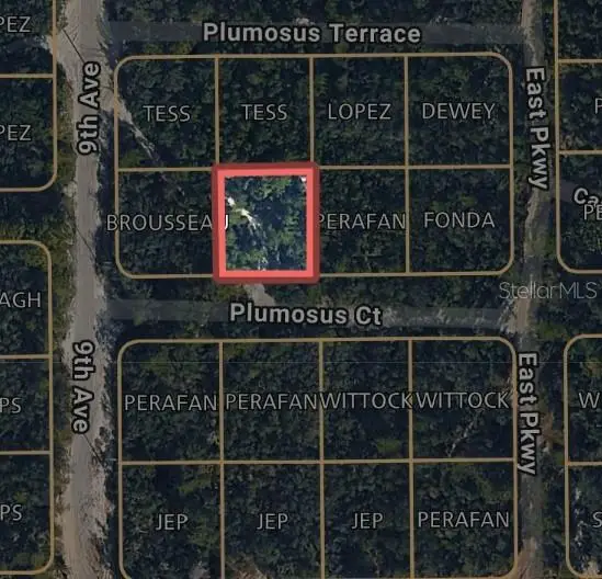 212 Plumosus Court, Deland, FL 32724 - #1