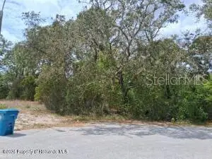 9159 Liberator Court, Spring Hill, FL 34608 - #1