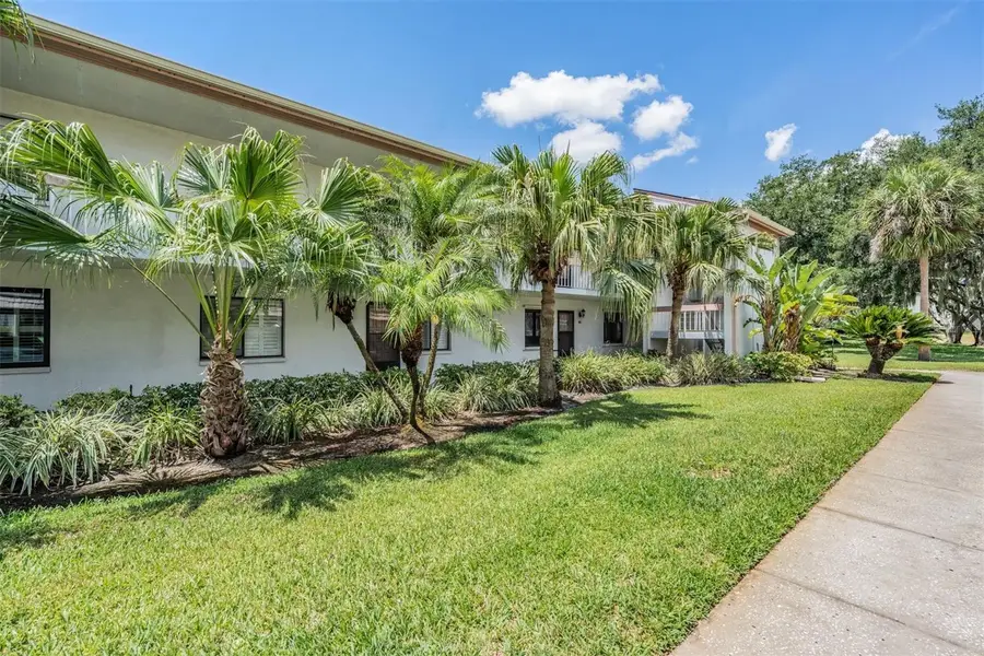 112 Lakeview Place #12, Oldsmar, FL 34677 - #2