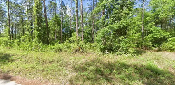 0 NE 156 Place, FORT MC COY, FL 32134