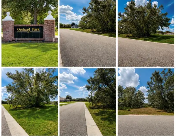 9925 Reindeer Court, SPRING HILL, FL 34608