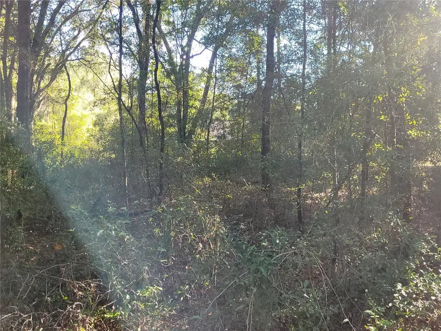0 SW 22nd Place, Ocala, FL 34481 - #3