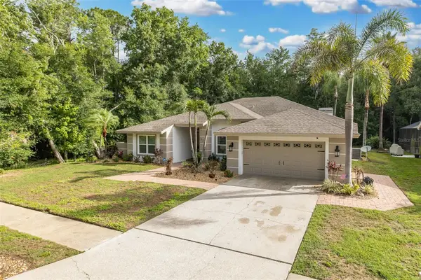 321 Waterford Circle E, TARPON SPRINGS, FL 34688